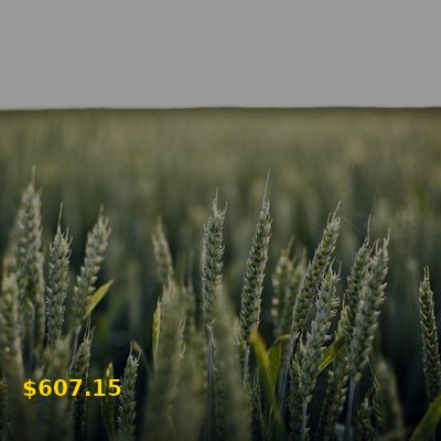 Vintage Vinyl Record #1