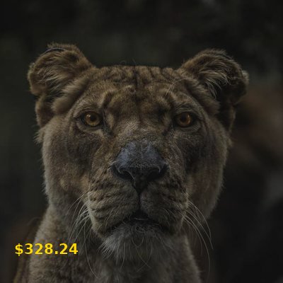 Stamp Collection #14